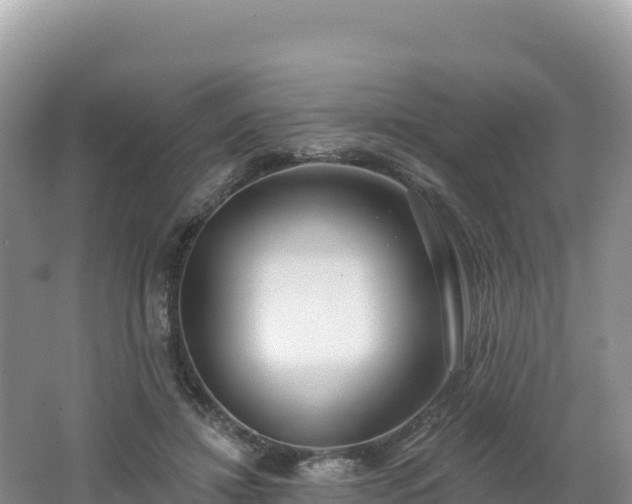 X0000062140452200512121246