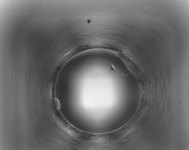 X0000062140454200512121246