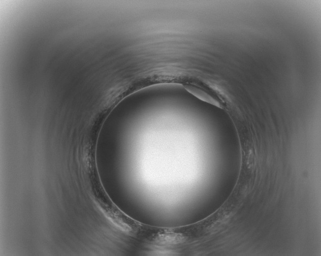 X0000062140455200512121246