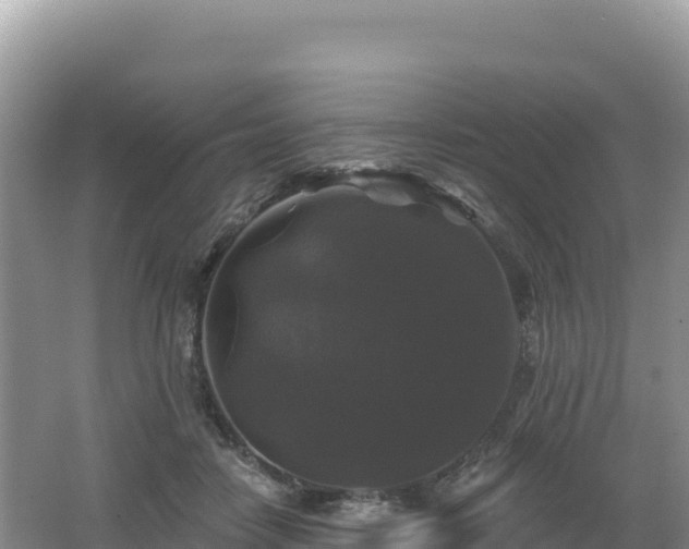 X0000062140458200512121246