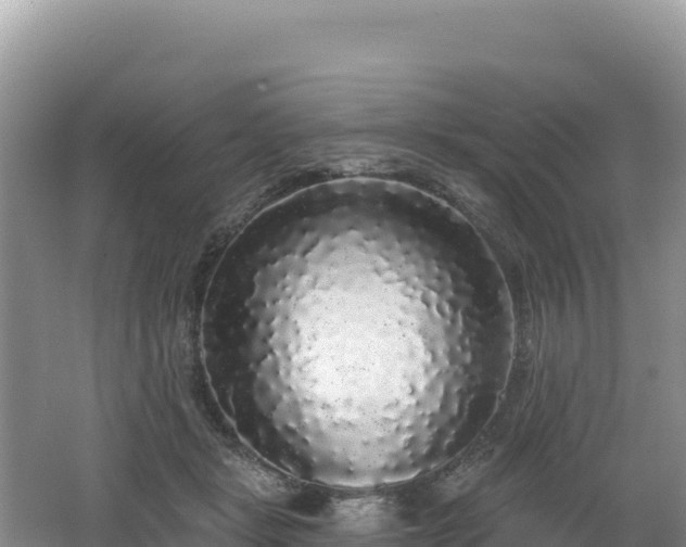 X0000062140461200512121246