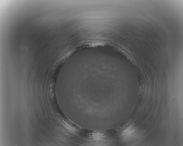 X0000062140462200512121246