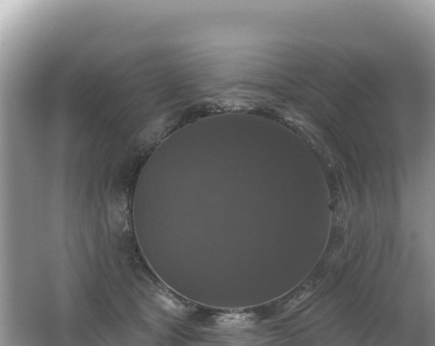 X0000062140465200512121246