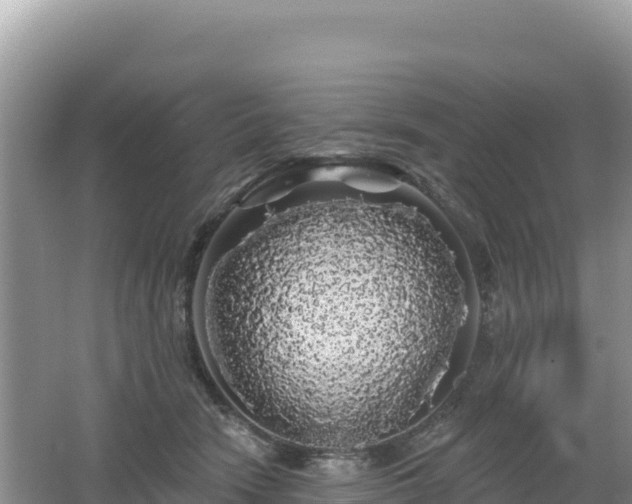 X0000062140466200512121246