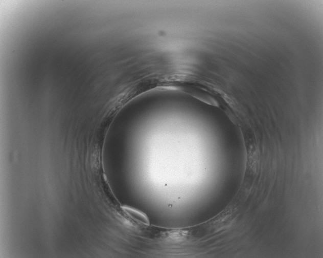 X0000062140474200512121246