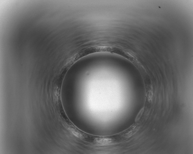 X0000062140476200512121246