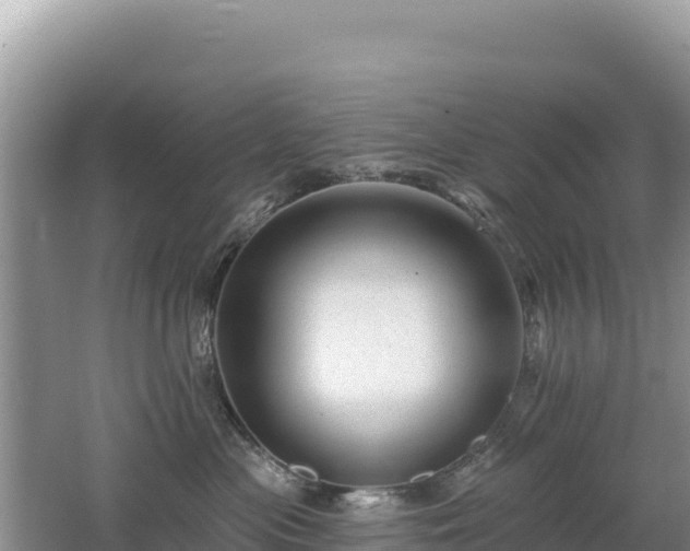 X0000062140477200512121246