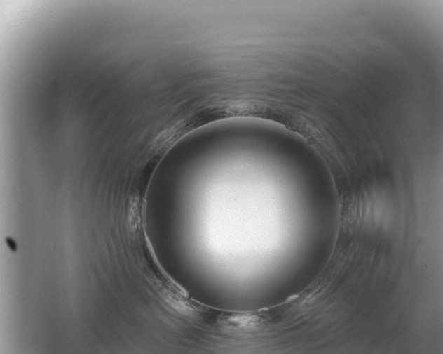 X0000062140478200512121246