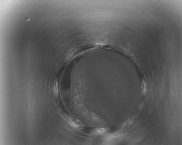 X0000062140479200512121246