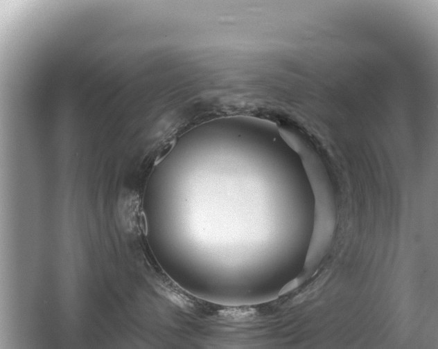 X0000062140480200512121246