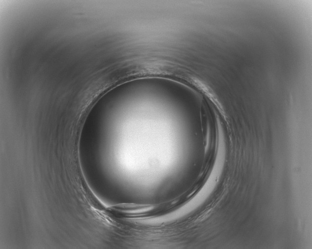 X0000062140481200512121245