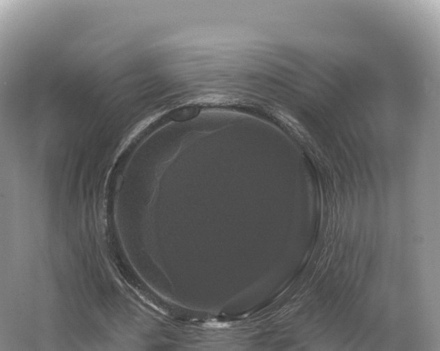 X0000062140484200512121245