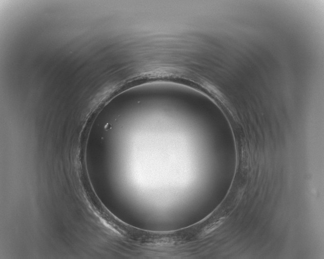 X0000062140485200512121245