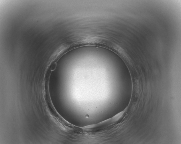 X0000062140486200512121245