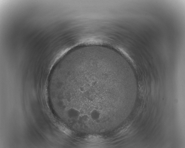 X0000062140487200512121245