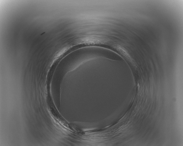 X0000062140488200512121245