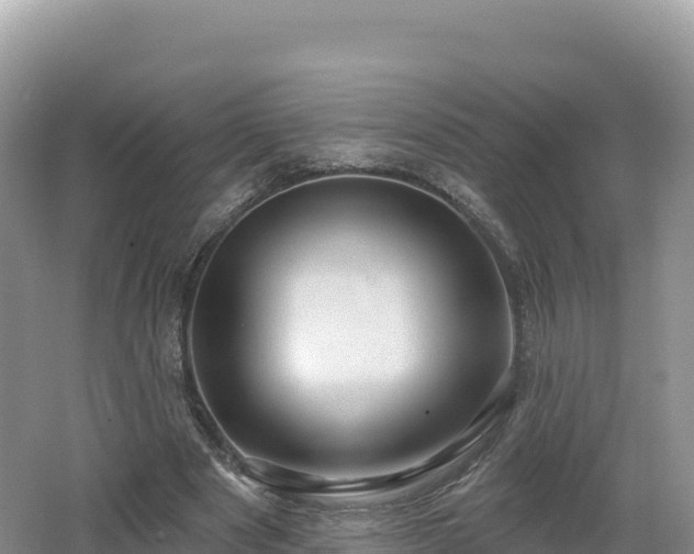 X0000062140489200512121245