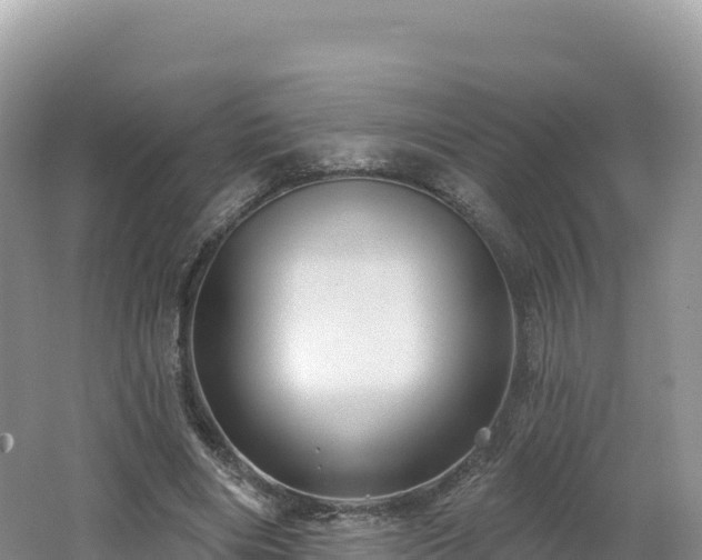 X0000062140490200512121245