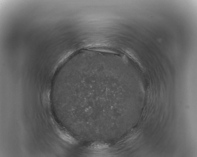 X0000062140491200512121245