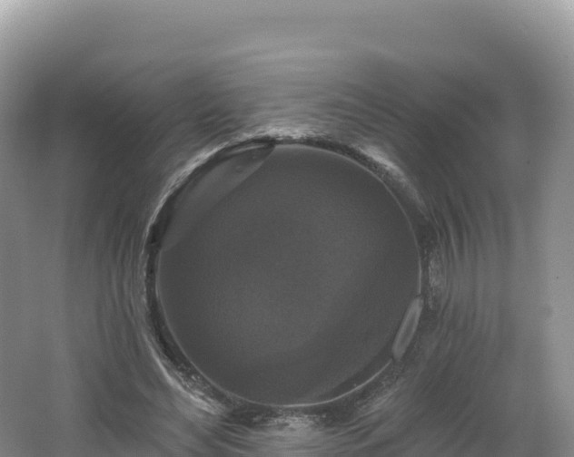 X0000062140492200512121245