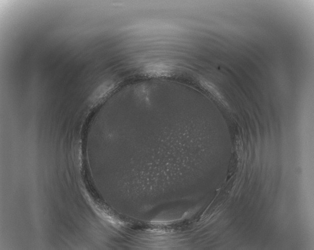 X0000062140494200512121245