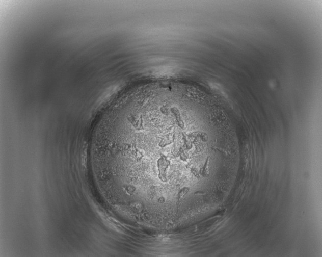 X0000062140495200512121245