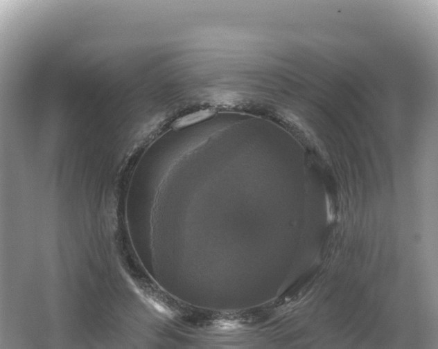 X0000062140496200512121245