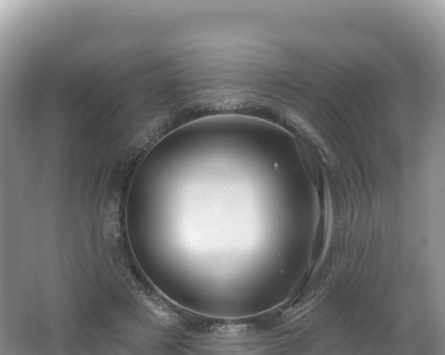 X0000062140497200512121245