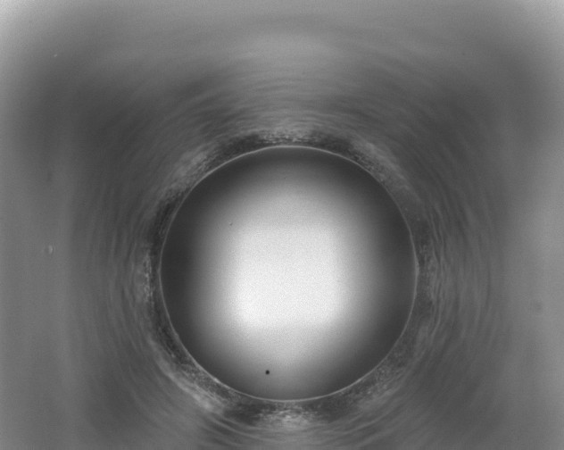 X0000062140498200512121245