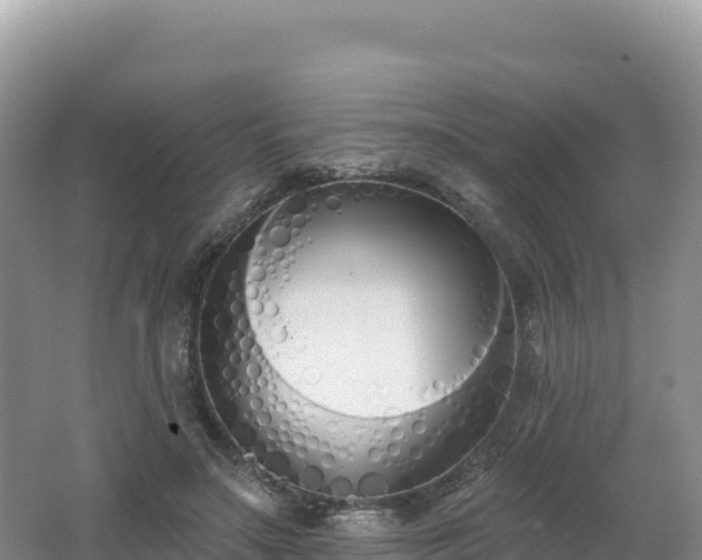 X0000062140499200512121245