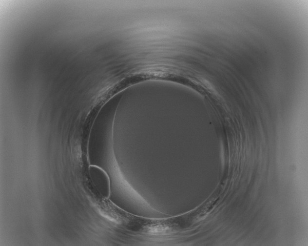 X0000062140500200512121245