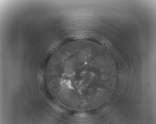 X0000062140503200512121245