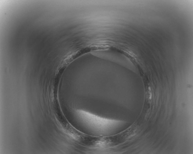 X0000062140504200512121245