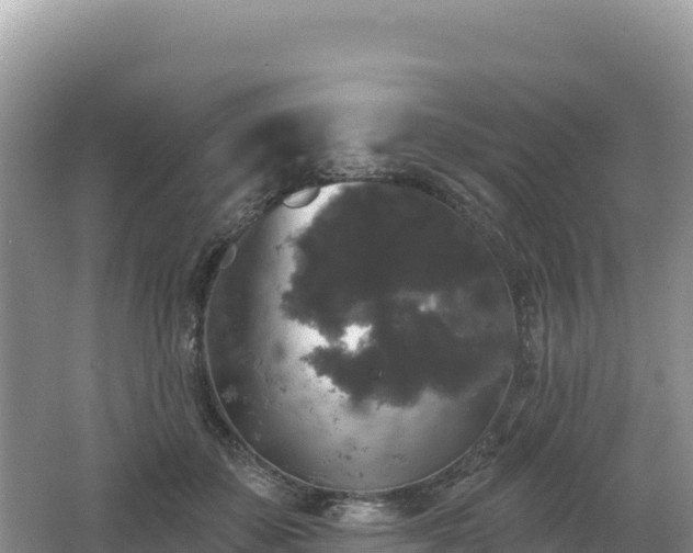 X0000062140507200512121245