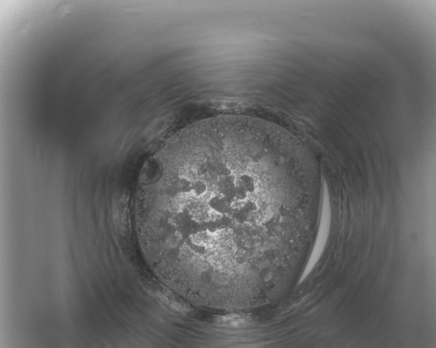 X0000062140511200512121245