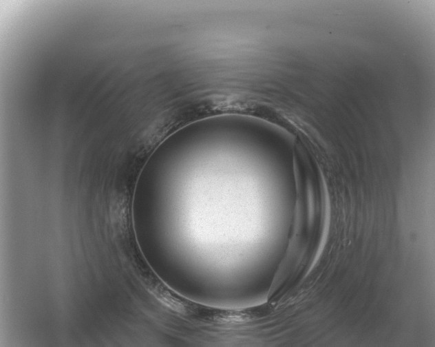 X0000062140513200512121245