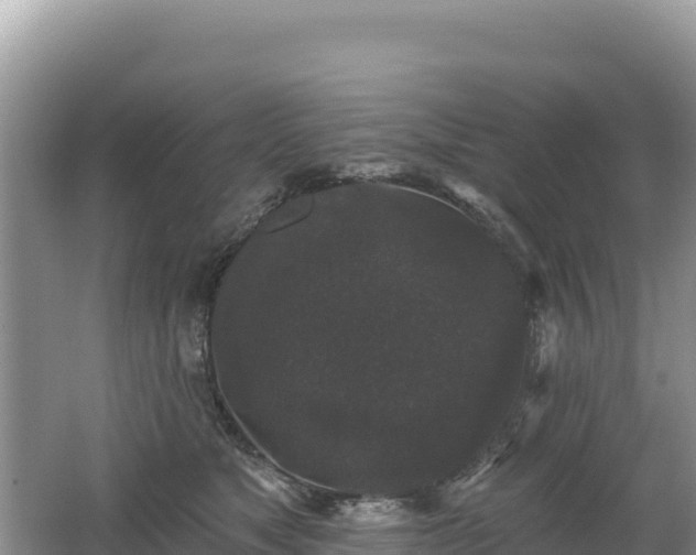 X0000062140517200512121245