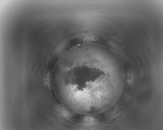 X0000062140519200512121245