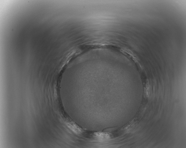 X0000062140520200512121245