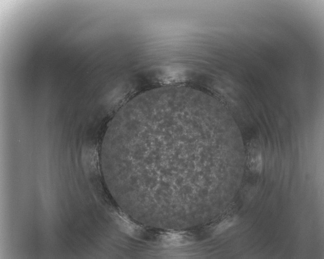 X0000062140523200512121245