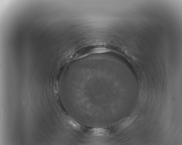 X0000062140528200512121245