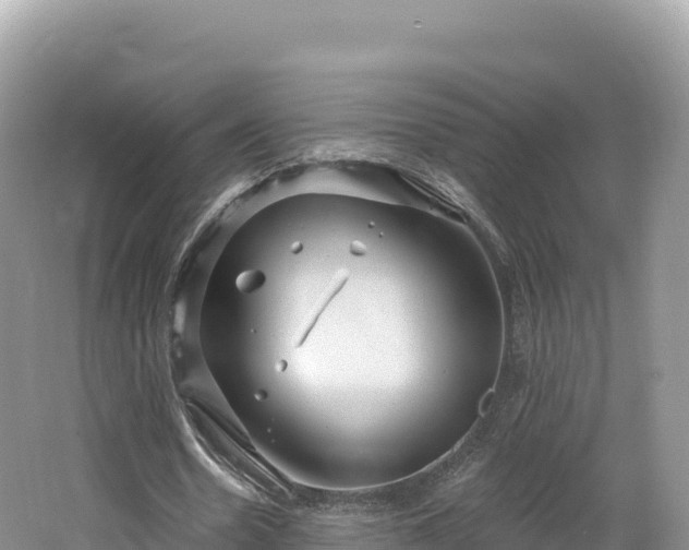 X0000062140530200512121244