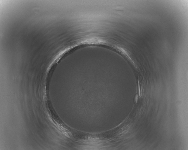 X0000062140531200512121244