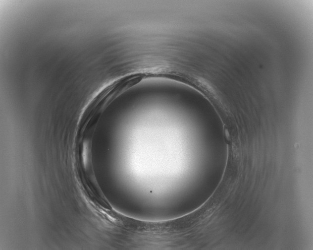 X0000062140532200512121244