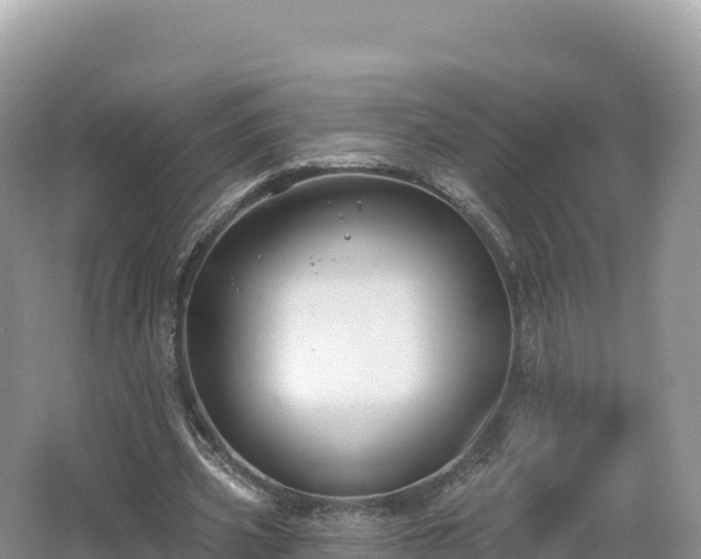 X0000062140533200512121244