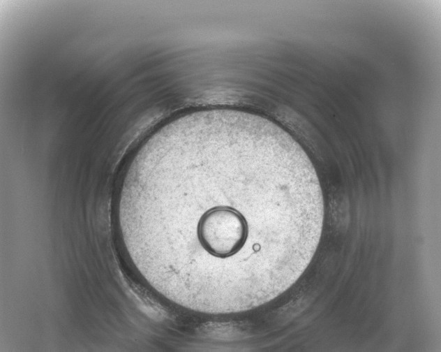 X0000062140534200512121244