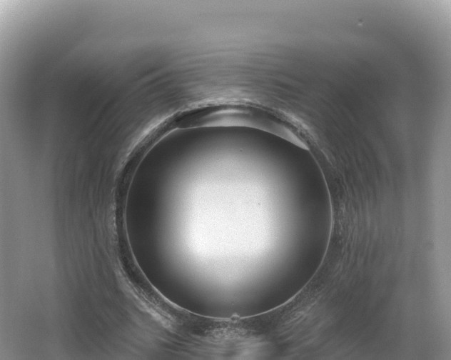 X0000062140535200512121244