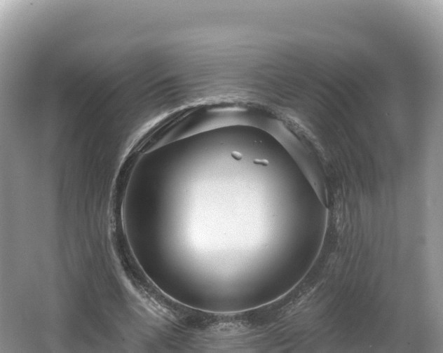 X0000062140536200512121244