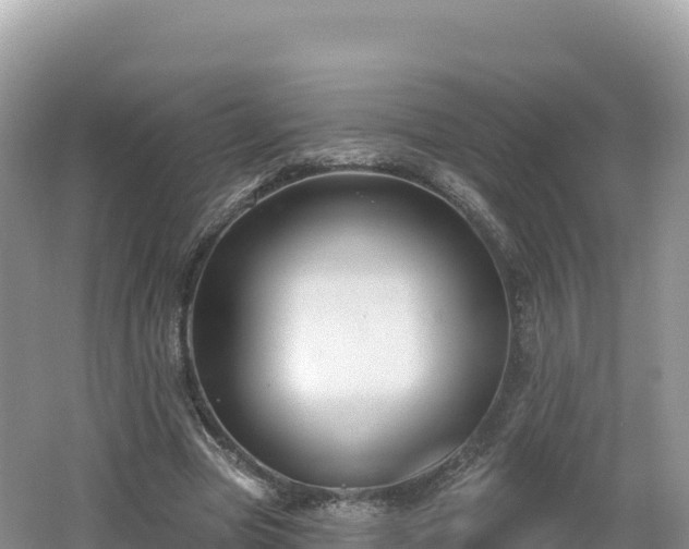 X0000062140537200512121244