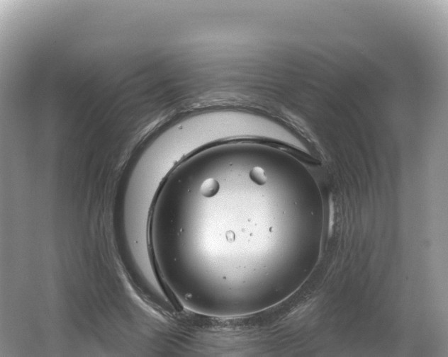 X0000062140538200512121244